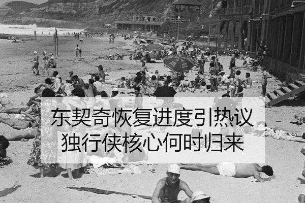东契奇恢复进度引热议 独行侠核心何时归来（SPORTS）